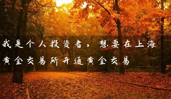 我是个人投资者，想要在上海黄金交易所开通黄金交易_https://www.shunyec.com_期货走势_第1张