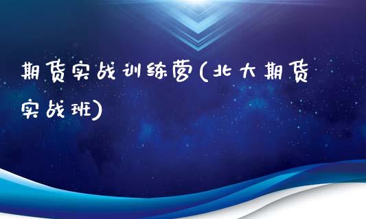 期货实战训练营(北大期货实战班)_https://www.shunyec.com_期货走势_第1张