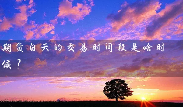 期货白天的交易时间段是啥时候？_https://www.shunyec.com_股票基金_第1张