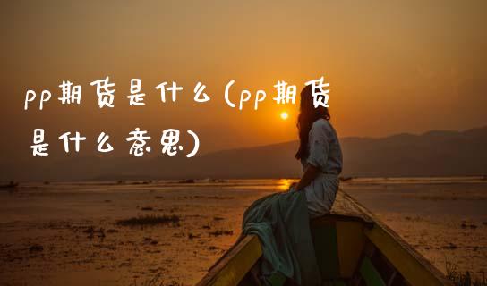 pp期货是什么(pp期货是什么意思)_https://www.shunyec.com_期货平台_第1张