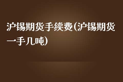 沪锡期货手续费(沪锡期货一手几吨)_https://www.shunyec.com_期货平台_第1张