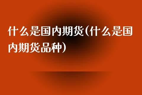 什么是国内期货(什么是国内期货品种)_https://www.shunyec.com_期货平台_第1张