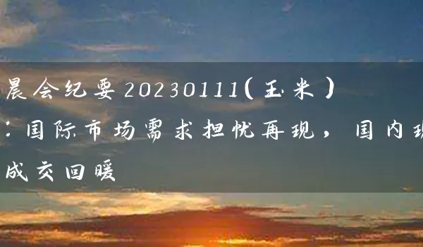 晨会纪要20230111（玉米）：国际市场需求担忧再现，国内现货成交回暖_https://www.shunyec.com_期货百科_第1张