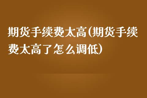 期货手续费太高(期货手续费太高了怎么调低)_https://www.shunyec.com_期货平台_第1张