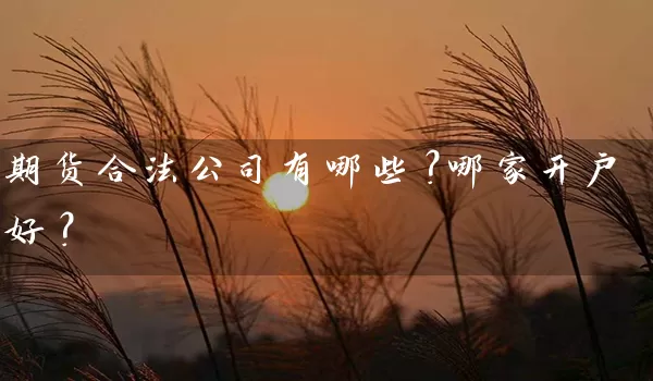 期货合法公司有哪些？哪家开户好？_https://www.shunyec.com_期货走势_第1张