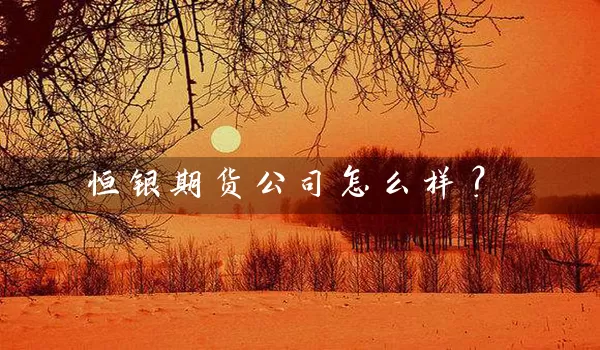 恒银期货公司怎么样？_https://www.shunyec.com_期货平台_第1张