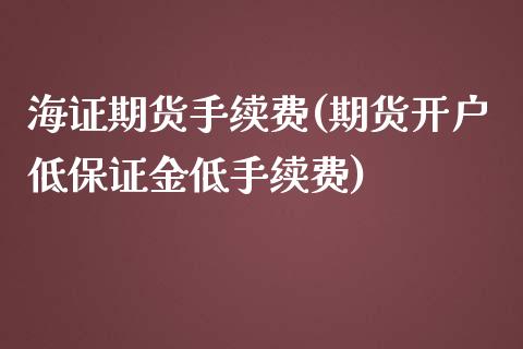 海证期货手续费(期货开户低保证金低手续费)_https://www.shunyec.com_期货平台_第1张