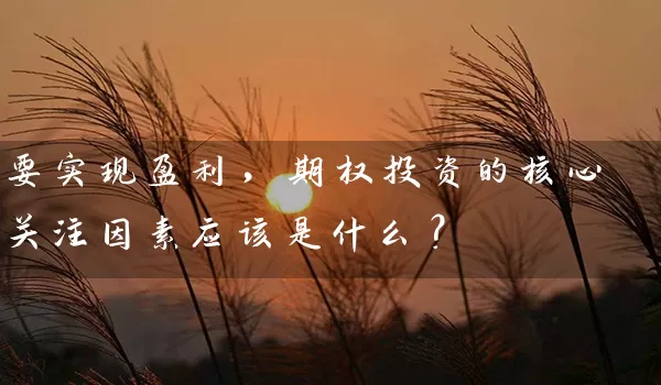 要实现盈利，期权投资的核心关注因素应该是什么？_https://www.shunyec.com_期货百科_第1张