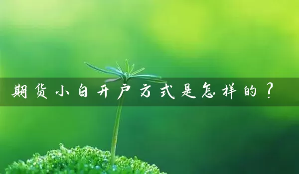 期货小白开户方式是怎样的？_https://www.shunyec.com_期货走势_第1张