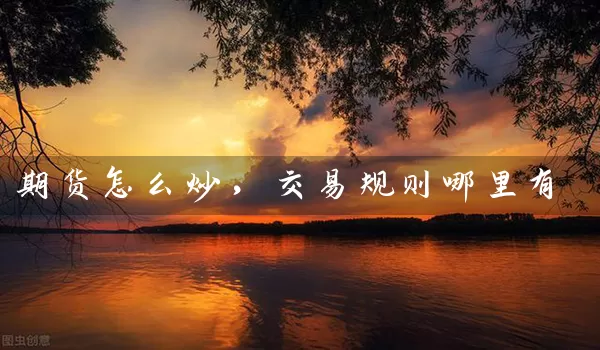 期货怎么炒，交易规则哪里有_https://www.shunyec.com_股票基金_第1张