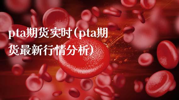 pta期货实时(pta期货最新行情分析)_https://www.shunyec.com_期货走势_第1张