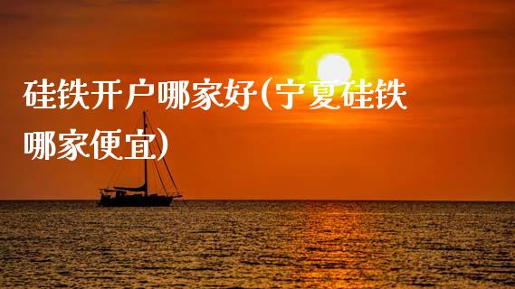 硅铁开户哪家好(宁夏硅铁哪家便宜)_https://www.shunyec.com_期货资讯_第1张