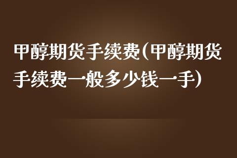 甲醇期货手续费(甲醇期货手续费一般多少钱一手)_https://www.shunyec.com_股票基金_第1张