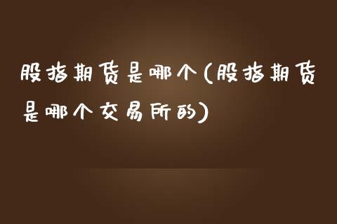 股指期货是哪个(股指期货是哪个交易所的)_https://www.shunyec.com_期货走势_第1张