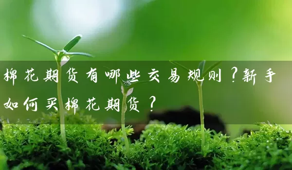 棉花期货有哪些交易规则？新手如何买棉花期货？_https://www.shunyec.com_股票基金_第1张