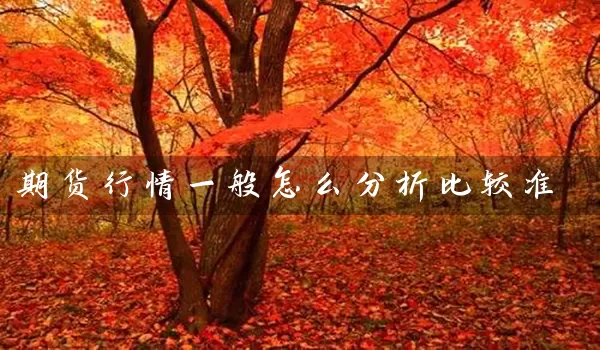 期货行情一般怎么分析比较准_https://www.shunyec.com_期货平台_第1张