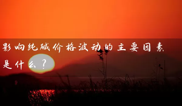 影响纯碱价格波动的主要因素是什么？_https://www.shunyec.com_期货资讯_第1张