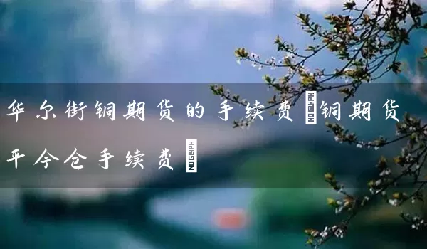 华尔街铜期货的手续费(铜期货平今仓手续费)_https://www.shunyec.com_期货资讯_第1张