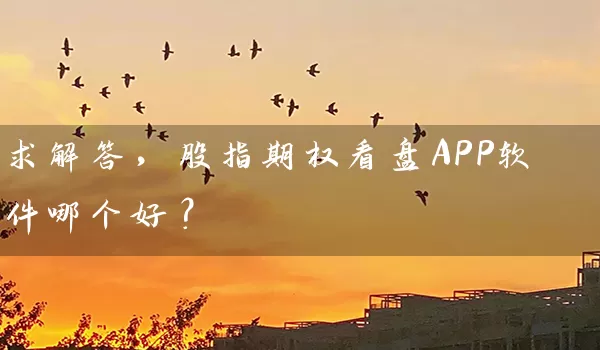 求解答，股指期权看盘APP软件哪个好？_https://www.shunyec.com_期货平台_第1张