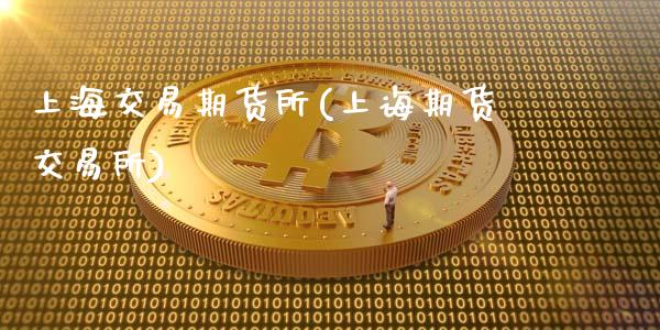 上海交易期货所(上诲期货交易所)_https://www.shunyec.com_期货资讯_第1张