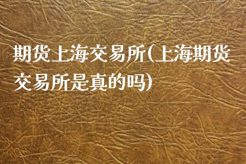 期货上海交易所(上海期货交易所是真的吗)_https://www.shunyec.com_期货走势_第1张