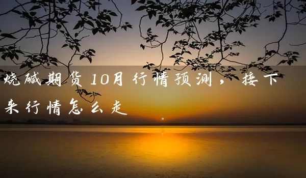 烧碱期货10月行情预测，接下来行情怎么走_https://www.shunyec.com_期货平台_第1张