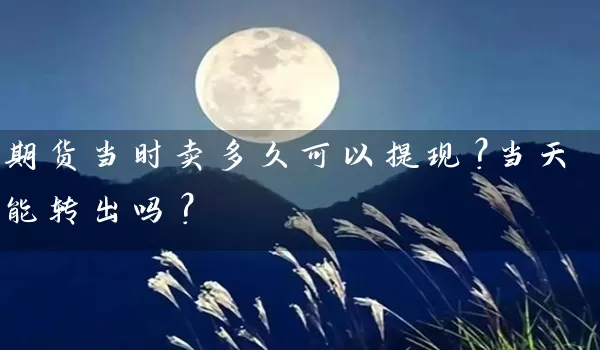 期货当时卖多久可以提现？当天能转出吗？_https://www.shunyec.com_期货百科_第1张