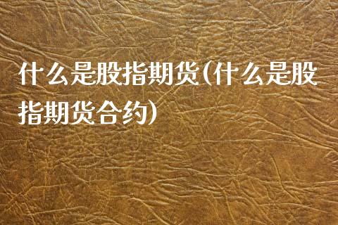 什么是股指期货(什么是股指期货合约)_https://www.shunyec.com_期货平台_第1张