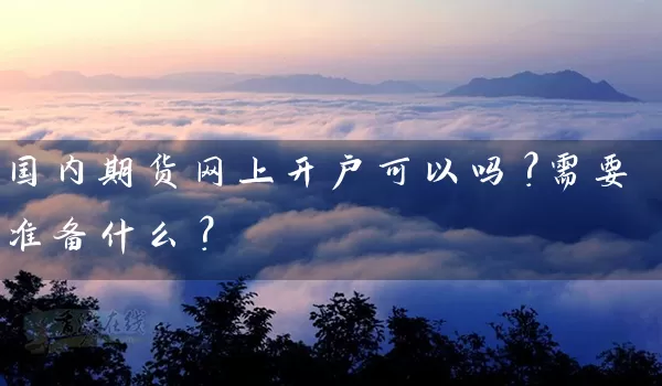 国内期货网上开户可以吗？需要准备什么？_https://www.shunyec.com_期货平台_第1张