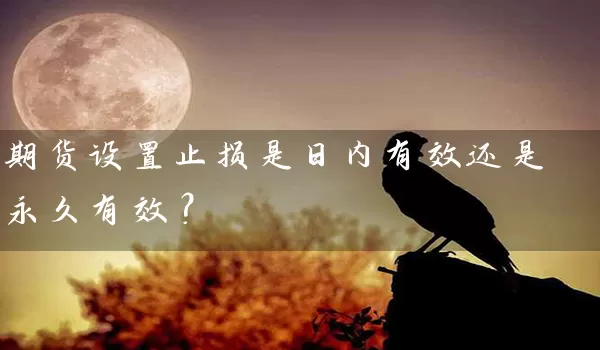 期货设置止损是日内有效还是永久有效？_https://www.shunyec.com_期货平台_第1张