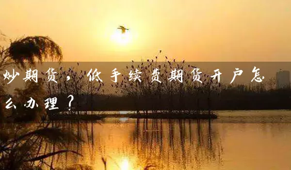 炒期货，低手续费期货开户怎么办理？_https://www.shunyec.com_期货百科_第1张