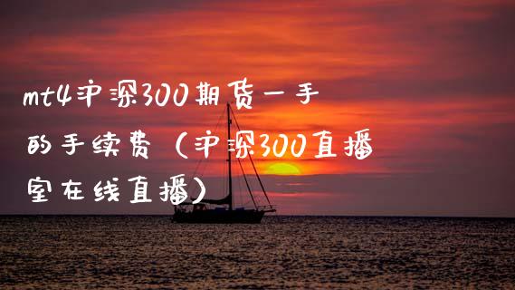 mt4沪深300期货一手的手续费（沪深300直播室在线直播）_https://www.shunyec.com_期货平台_第1张