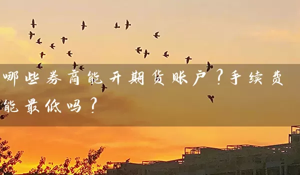 哪些券商能开期货账户？手续费能最低吗？_https://www.shunyec.com_期货平台_第1张