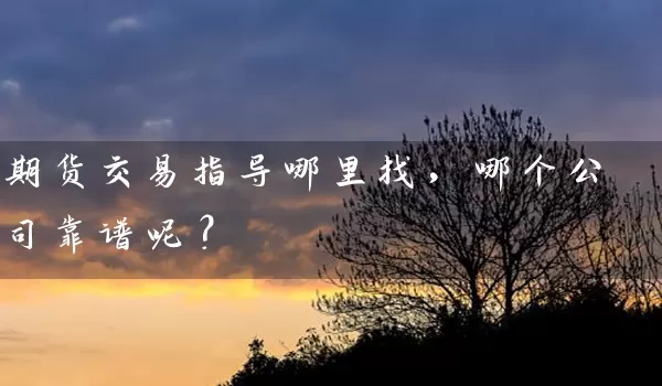 期货交易指导哪里找，哪个公司靠谱呢？_https://www.shunyec.com_期货走势_第1张