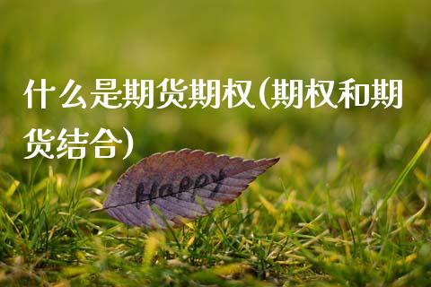 什么是期货期权(期权和期货结合)_https://www.shunyec.com_期货资讯_第1张