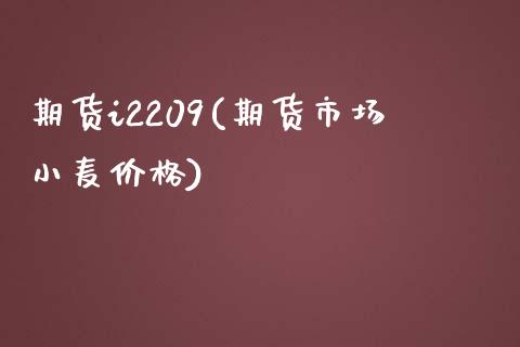 期货i2209(期货市场小麦价格)_https://www.shunyec.com_股票基金_第1张