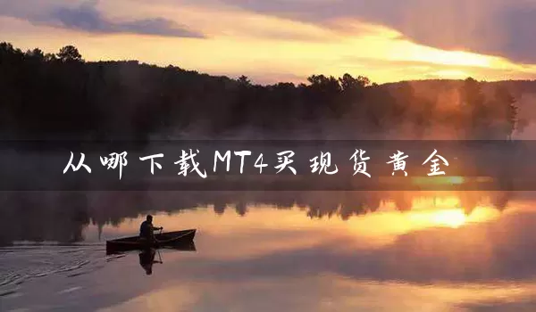 从哪下载MT4买现货黄金_https://www.shunyec.com_期货百科_第1张