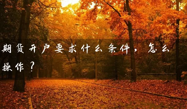 期货开户要求什么条件，怎么操作？_https://www.shunyec.com_期货走势_第1张