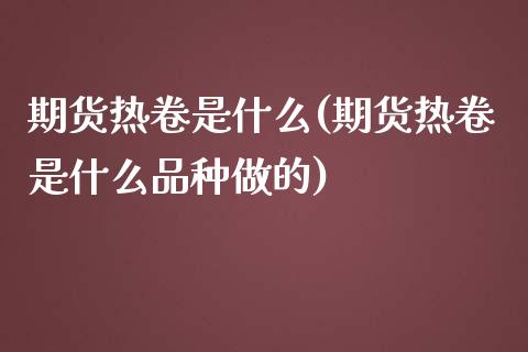 期货热卷是什么(期货热卷是什么品种做的)_https://www.shunyec.com_期货资讯_第1张